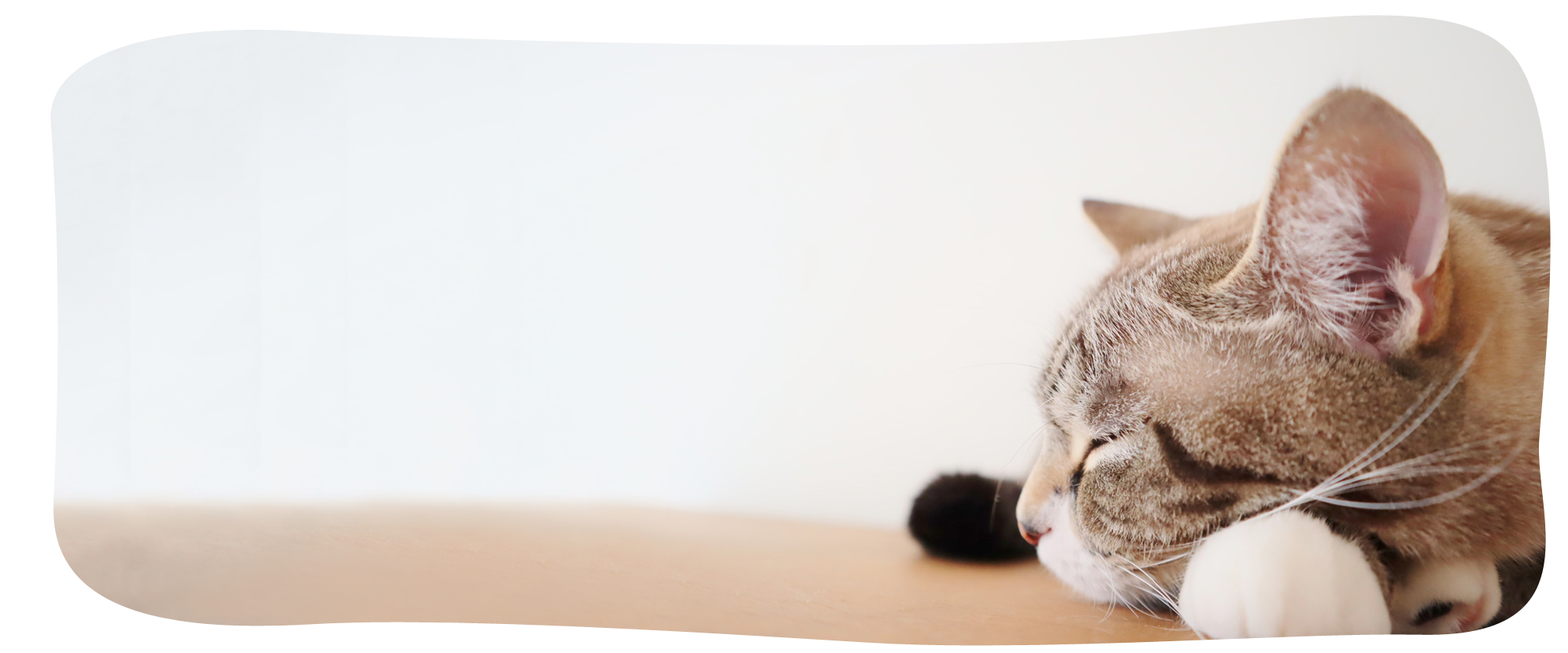 メインビジュアル